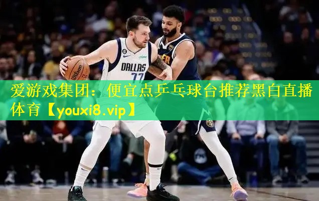 爱游戏集团:便宜点乒乓球台推荐黑白直播 体育