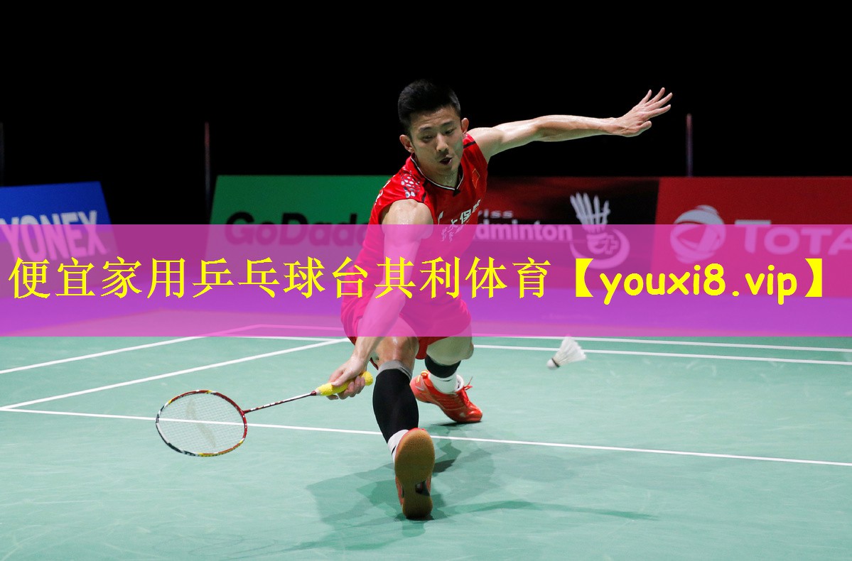 便宜家用乒乓球台其利体育