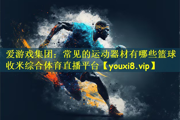 爱游戏集团:常见的运动器材有哪些篮球收米综合体育直播平台