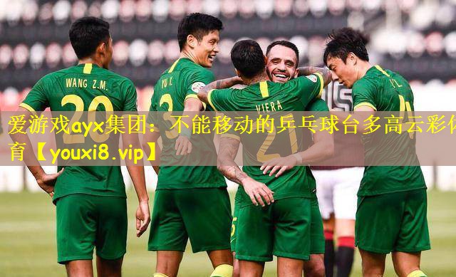 爱游戏ayx集团：不能移动的乒乓球台多高云彩体育