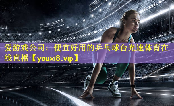 爱游戏公司:便宜好用的乒乓球台光速体育在线直播