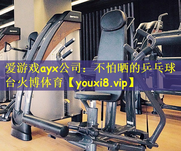 爱游戏ayx公司：不怕晒的乒乓球台火博体育