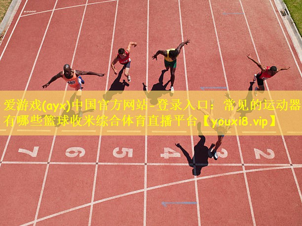 爱游戏(ayx)中国官方网站-登录入口:常见的运动器材有哪些篮球收米综合体育直播平台