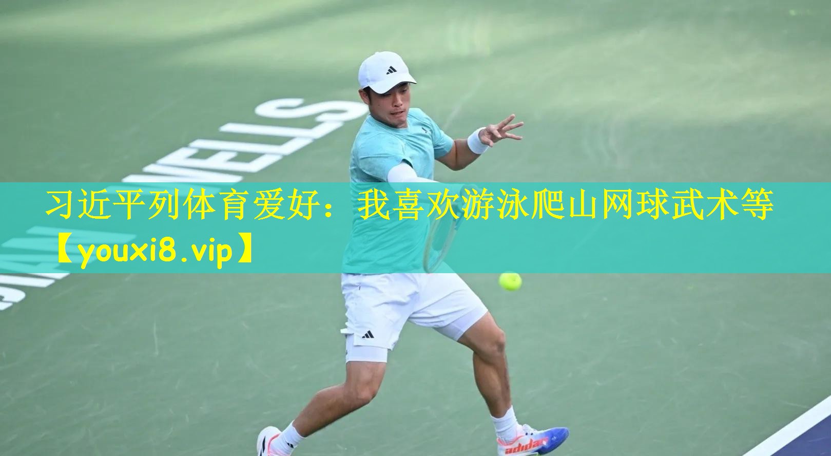习近平列体育爱好:我喜欢游泳爬山网球武术等