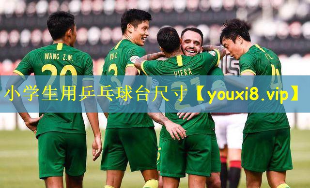 <strong>小学生用乒乓球台尺寸</strong>