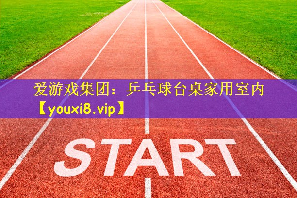 爱游戏集团:乒乓球台桌家用室内