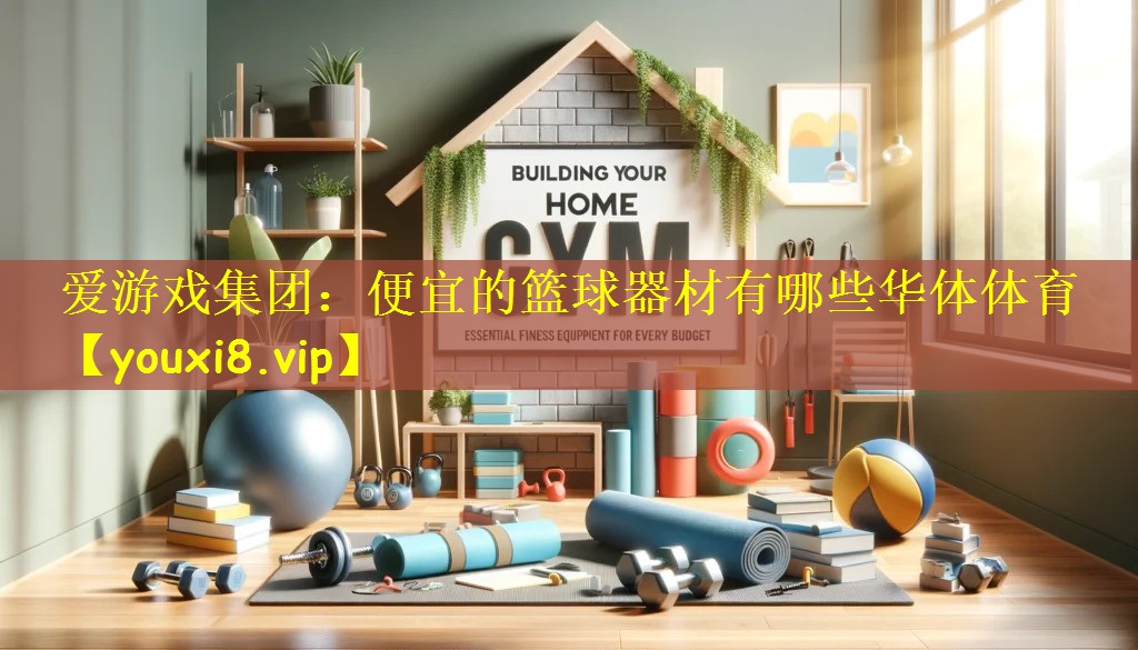 爱游戏集团:便宜的篮球器材有哪些华体体育
