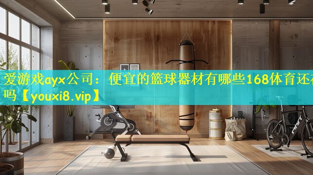爱游戏ayx公司:便宜的篮球器材有哪些168体育还在吗