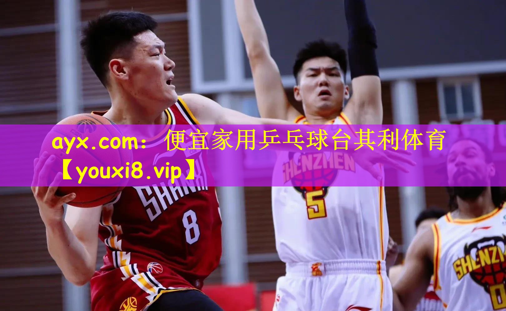 ayx.com:便宜家用乒乓球台其利体育