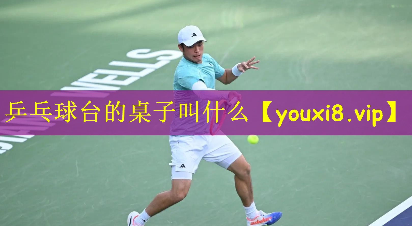 乒乓球台的桌子叫什么