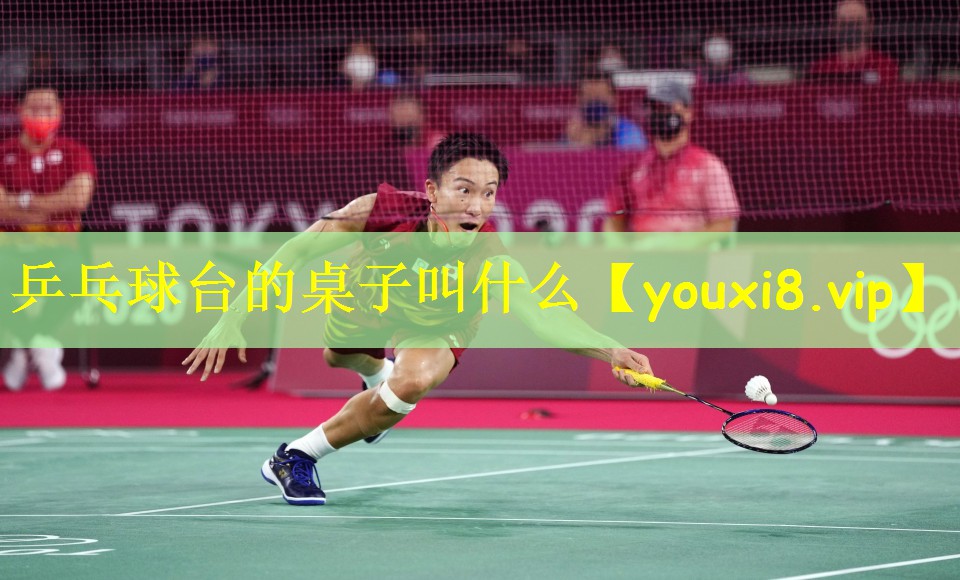 乒乓球台的桌子叫什么