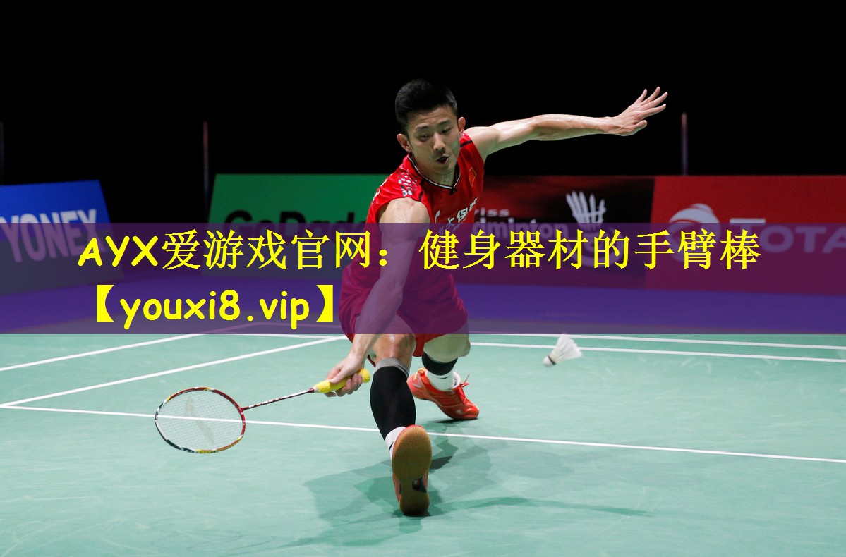 健身器材的手臂棒